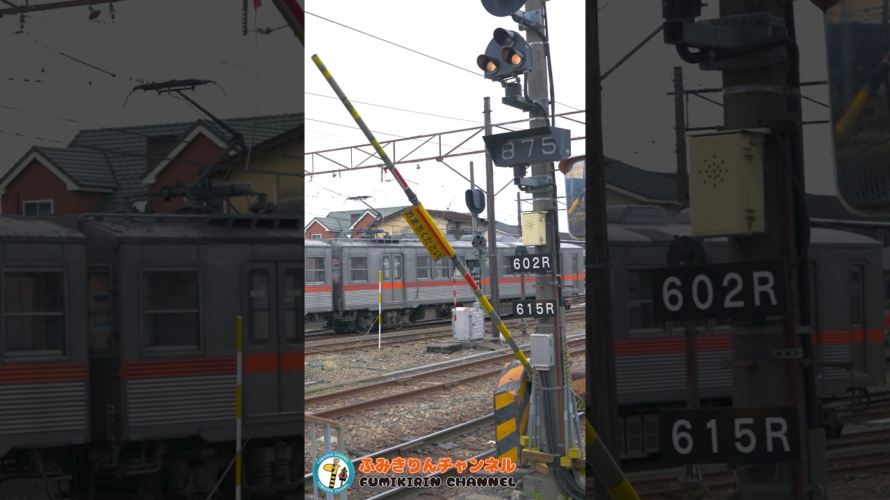 【踏切 電車】なにが通るかな???【ふみきりショート動画268】 #shorts
