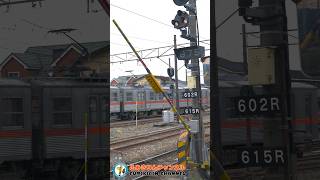 【踏切 電車】なにが通るかな???【ふみきりショート動画268】  #shorts