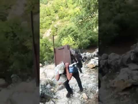 اصطياد ضبع في عكار لبنان