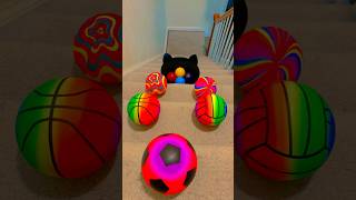 Which ringtone you like the most #colorfulballs #dropping #ringtone #funnyvideo #amazing #shortvideo