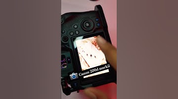 Is It Worth Enabling Highlight Alerts on Your Canon Camera?