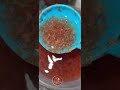 Frozen artemia quality #food #fish #feed #quality #frozen #malayalam #farm #breeding #growth #guppy