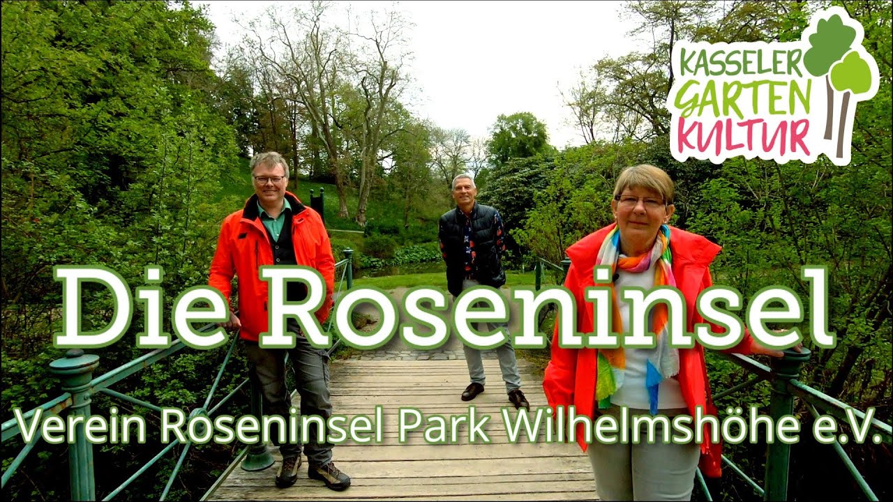 Kasseler Gartenkultur: Die Roseninsel | Verein Roseninsel Park Wilhelmshöhe e.V. #wowkassel