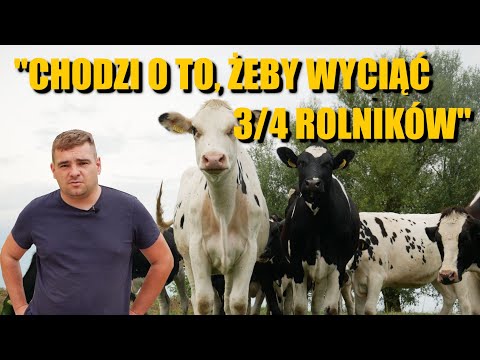 "Będziemy wylewać mleko w Warszawie"- tragiczna sytuacja na rynku mleka! Będą protesty?