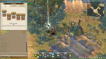 TOS Daino test - poor IMC translation