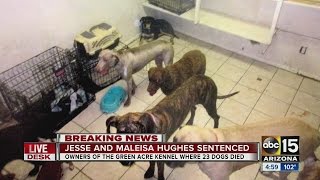 Famous Stiff sentence sought in deaths of 23 dogs in Gilbert Net Worth