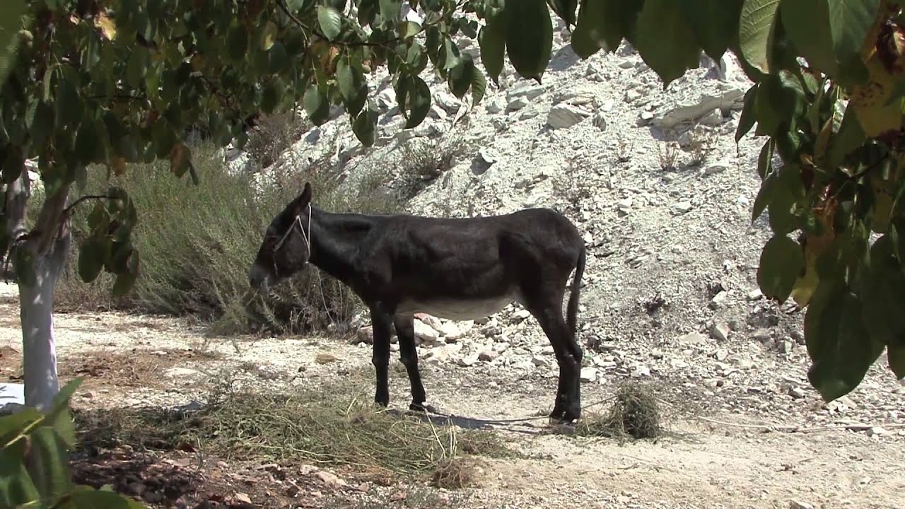 The waterless places Part 1 Yielding to the Holy Spirit YouTube