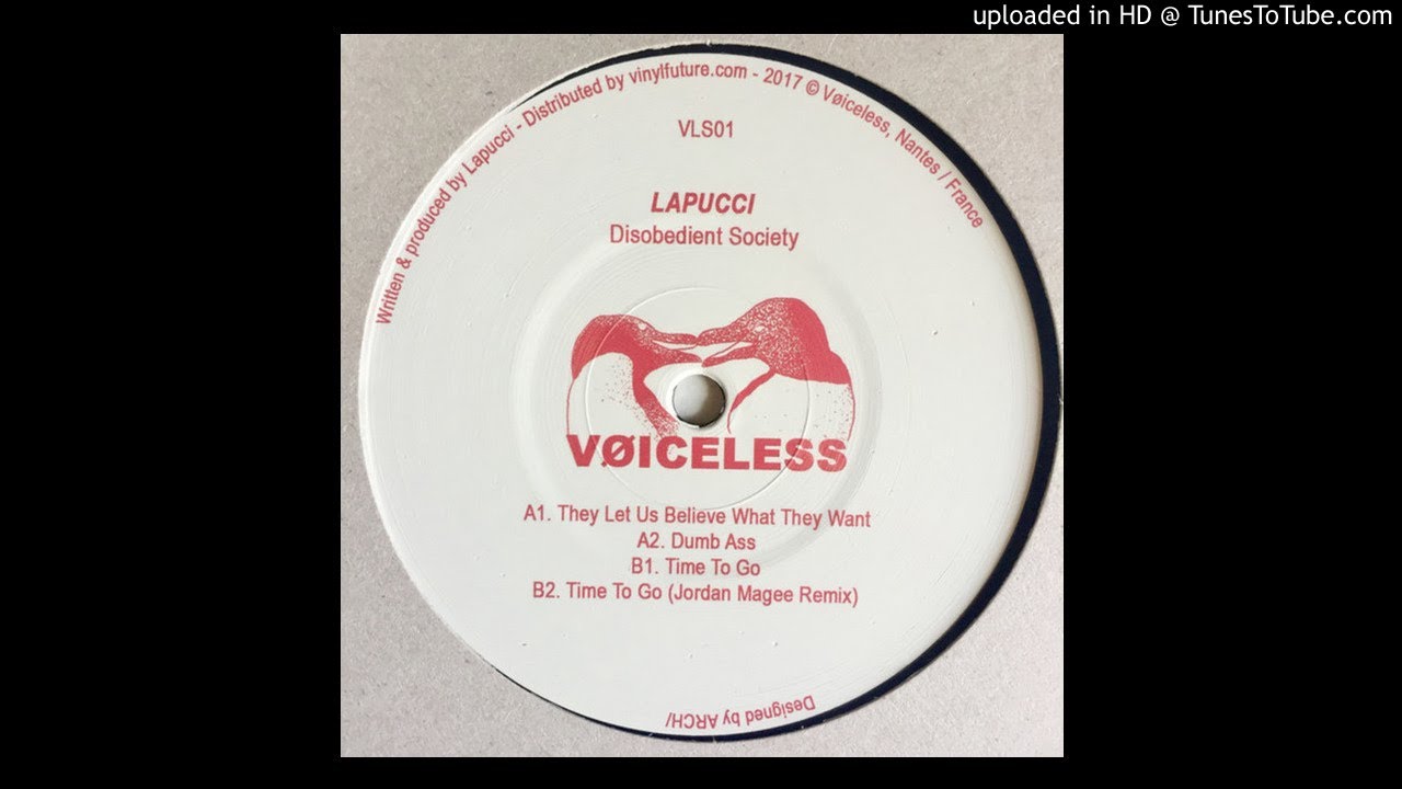 Lapucci - They Let Us Believe What They Want [VLS01]