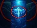 Which animal is this? Comment #amazinganimals #wildlifeshorts #amazingnature #fyp #viral