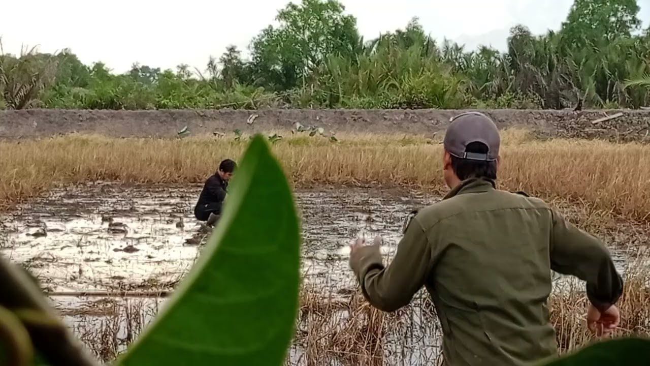 Tập 107 1 chiến đi xa bẫy le le và cái kết 