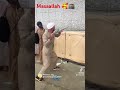 Dare nabi pe umer bite islamic🥰🕋 whatsapp status #islamicstatus #makkah #madina #explore #beautiful