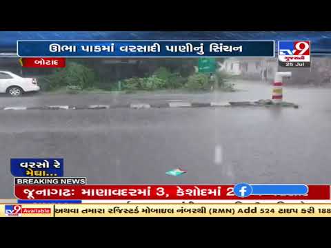 Heavy rainfall in Gadhada and other regions of Botad, farmers rejoice | TV9News
