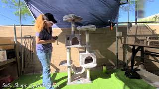 Hey Brother Cat Tree Condo Review