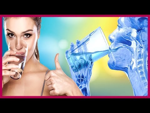 9 Ситуаций, Когда Не Стоит Пить Воду ★ Women Beauty Club