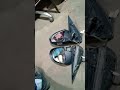 Video Image