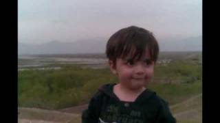 Ali Sina Tu Ba Yak Dasht