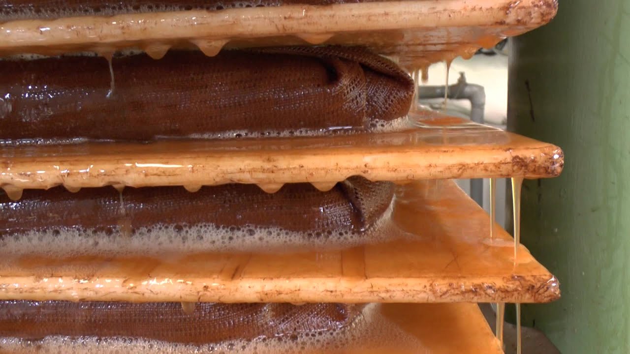 appels verwerken tot appelsap (video by ben&hanny)