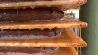 Appels Verwerken Tot Appelsap Video By Ben&Hanny