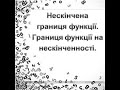 Нескінчена границя функції. Границя функції на нескінченності.