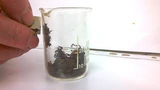 Důkaz Paramagnetických Vlastností Fe2O3