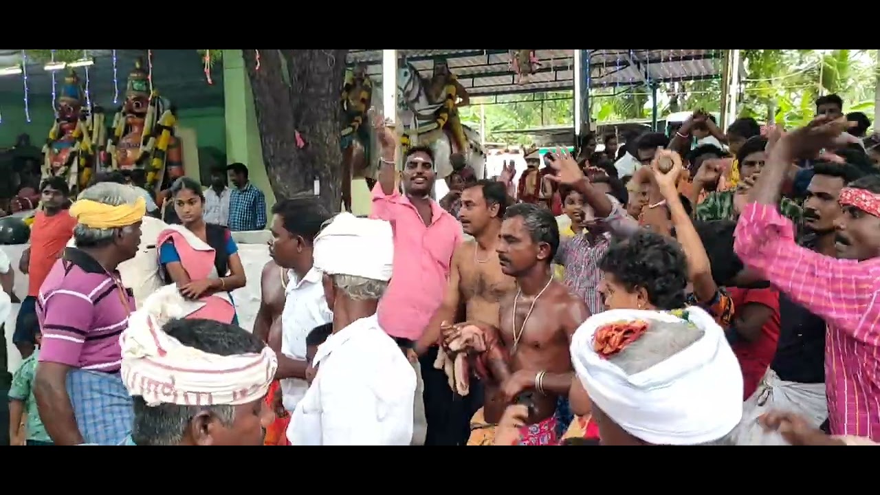 annamar temple festivel..2022 வேலம் பாளையம் அண்ணமார் கோயில் 06.07.2022 ஆண்டு கொண்டாடிய  களி பூஜை...