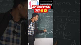 Gender Determination in Humans|CBSE|#shortsfeed#cbsebiology#neet#heredity#examtips|Shubham goel|
