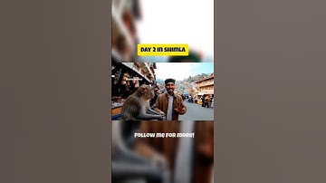 monkey vlog day 2 #fyb #viral #shorts #monkey .this video created by Techno macaque