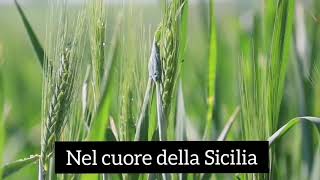 La Sicilia in Tavola ha scelto Pandittano