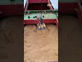 Why Don't Grain Ships Use Bird Nets? 🤯