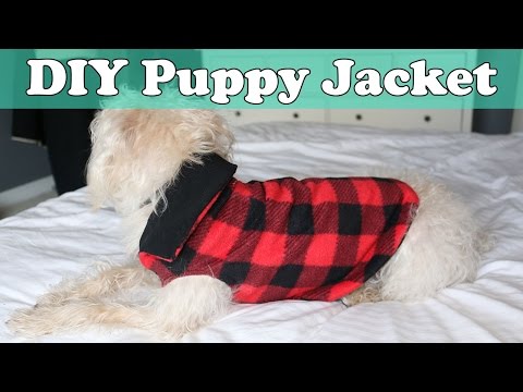 quick-and-easy-diy-puppy-jacket-/-coat