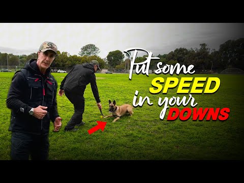 The Secret To A Lightning-fast Down Command