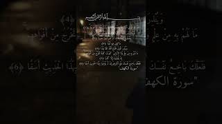 تلاوة خاشعة لآيات من كتاب الله