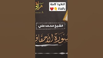 ويوم يعرض الذين كفروا على النار | سورة الأحقاف