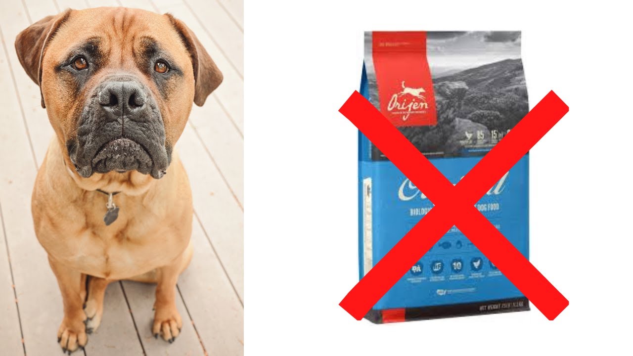 Orijen ? Don't Use Orijen Dog Food Try This Instead! YouTube