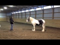 Habits of a Horseman-Game over on the Circle