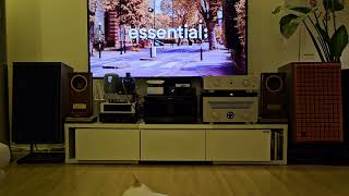 Ferrum Wandla DAC, JBL L100, COPLAND CTA 408 "SOS"