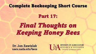 Part 17: Final Thoughts on Honey Bees