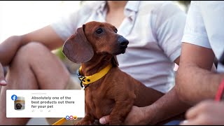 maxxiUtract customer reviews