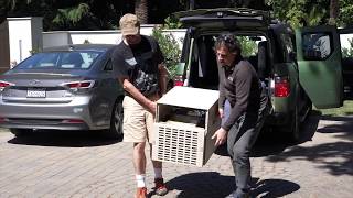 Digibarn Alto Part 1 Another Xerox Alto Arrives For Restoration