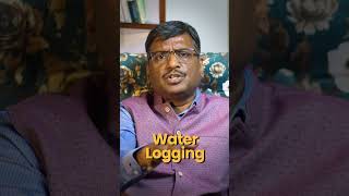 Gurgaon to Delhi: The Truth Behind India’s Flooded Streets