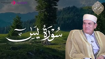 تلاوة تسافر بك بعيدًا عن صخب الحياة وضجيجها، الشيخ أحمد نعينع | سورة يس🎧😢