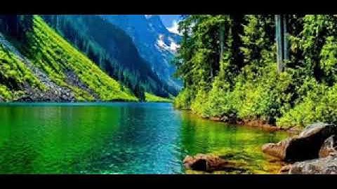 سورة البقرة • عبد الرحمن الدلالي |  Abdulrahman al-Dalali • Surah Al Baqarah