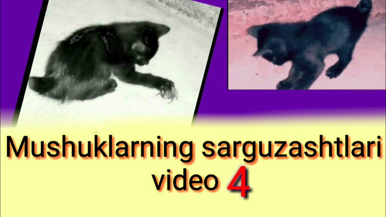 Chiroyli anal jinsiy aloqa foto Model Karli Kloss porno videoda