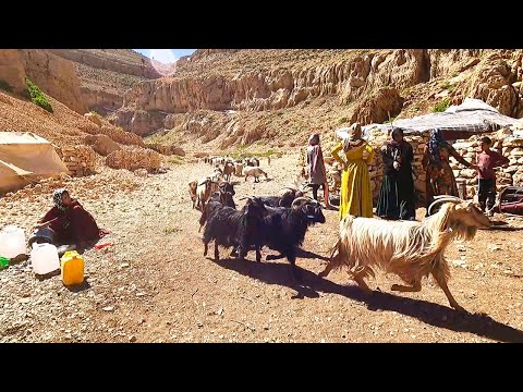 nomadic lifestyle of Iran