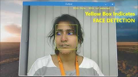 AllGo Driver Monitoring Solution on ARM Platform RGB
