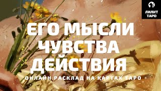 4 КОРОЛЯ: МЫСЛИ, ЧУВСТВА, ДЕЙСТВИЯ онлайн расклад на картах Таро |Лилит Таро|