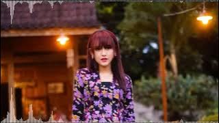 Happy Asmara - Ambyar Mak Pyar ‼️ (lirik) full bass terbaik 2021