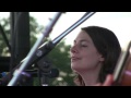 Elephant revival ring around the moon grey fox bluegrass festival 2014