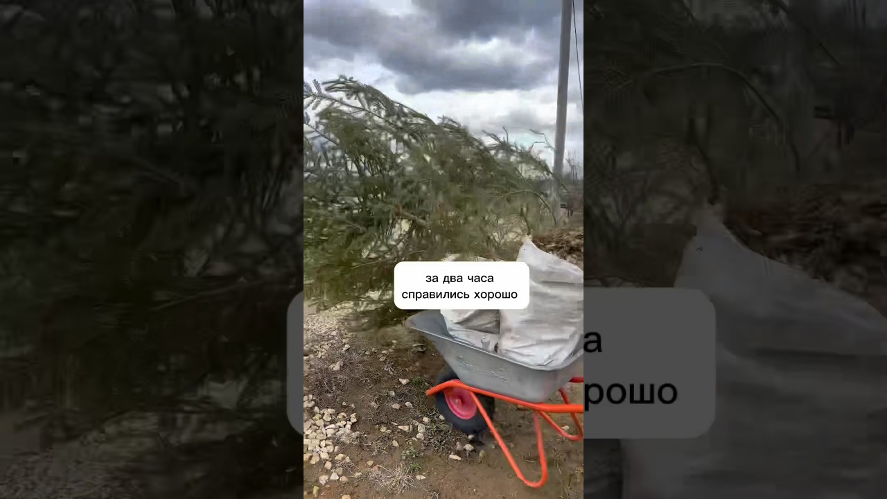 Часть 1. #Уборка дачи после зимы #садовод #огород #дача