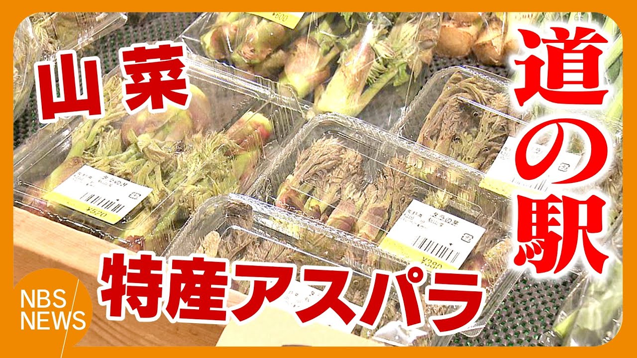 A wide variety of wild vegetables! Taranome, Kogoumi, and Fukinoto